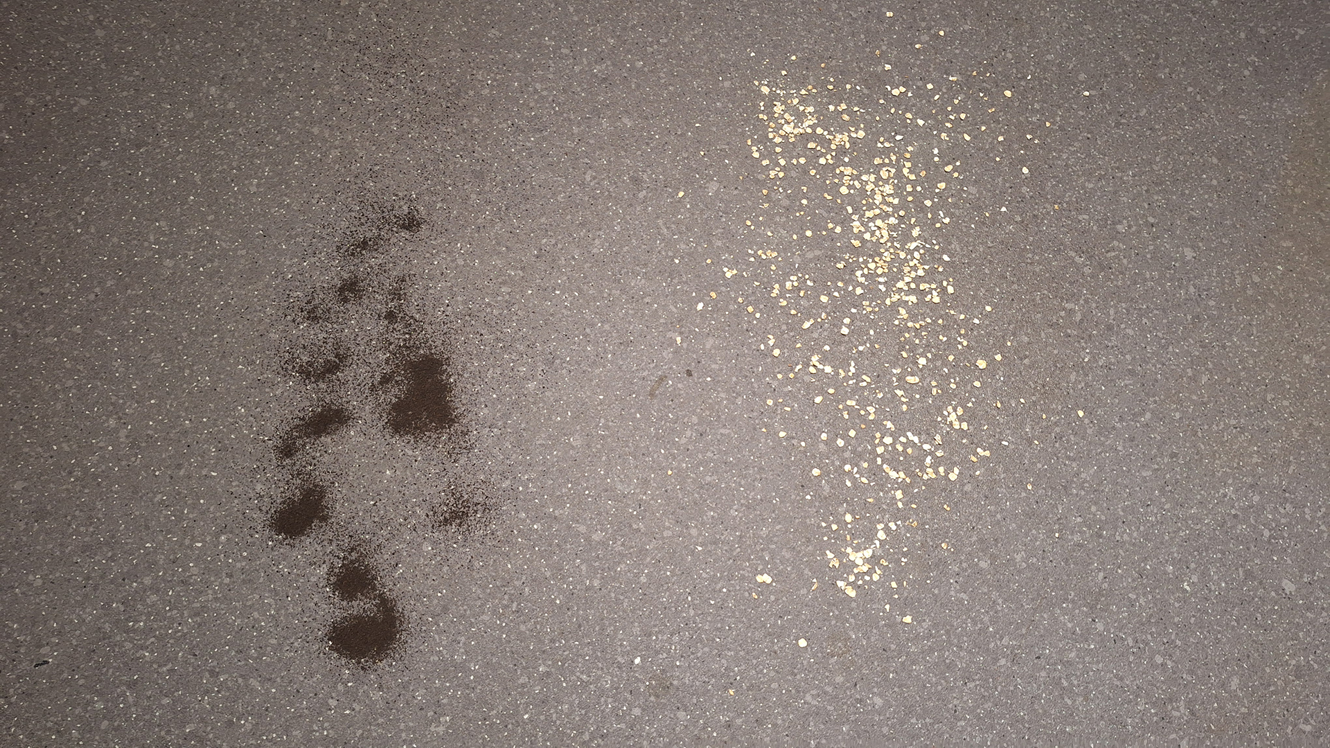 A messy layout of tea leaves and oats on a linoleum floor prepared for a vacuum suction test.