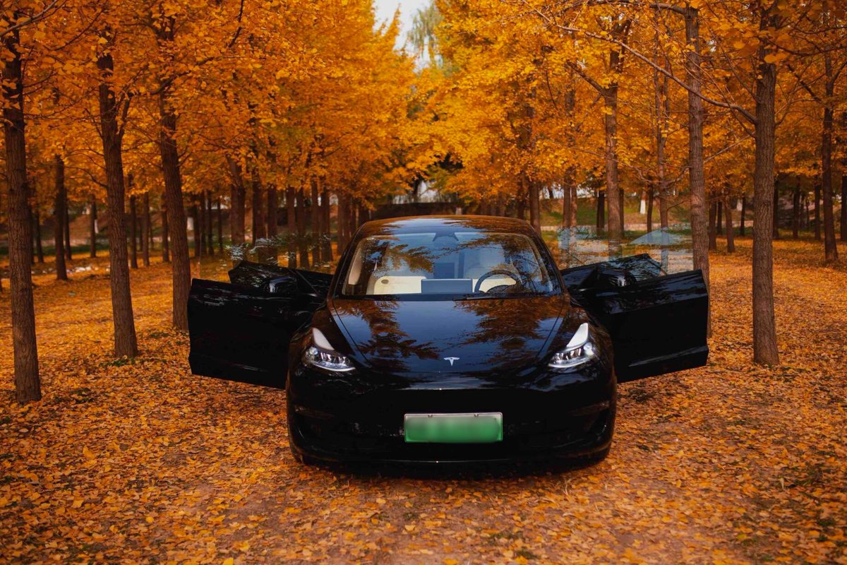 A side view of a black Tesla Model 3 parked in an urban setting.