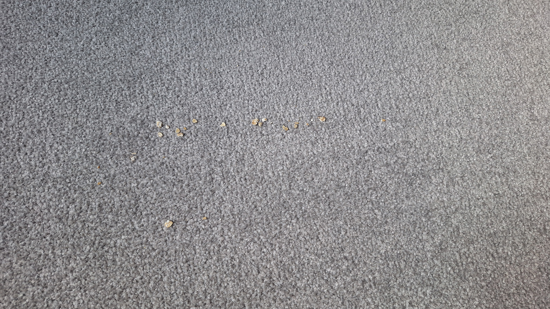 Side-by-side comparison showing a dirty carpet before and a clean carpet after being vacuumed by the Saros Z70.