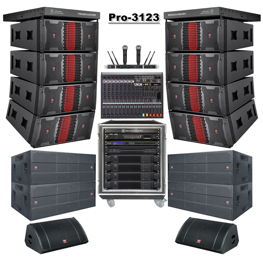 A professional-grade stacked speaker system for touring and fixed installations.