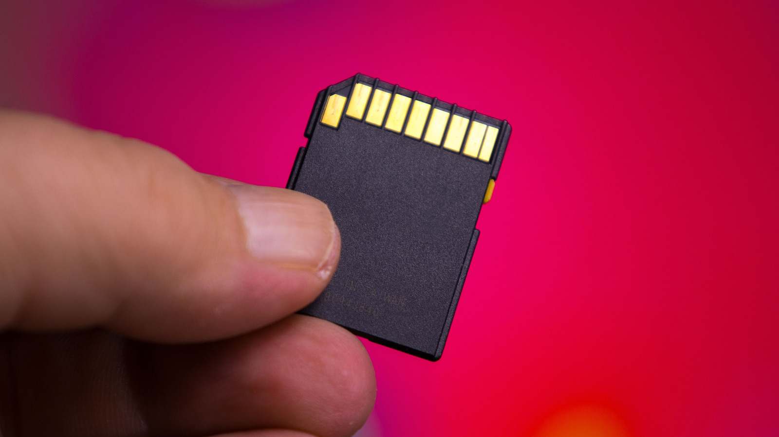 5 Best SD Cards for Professional Photography in 2026