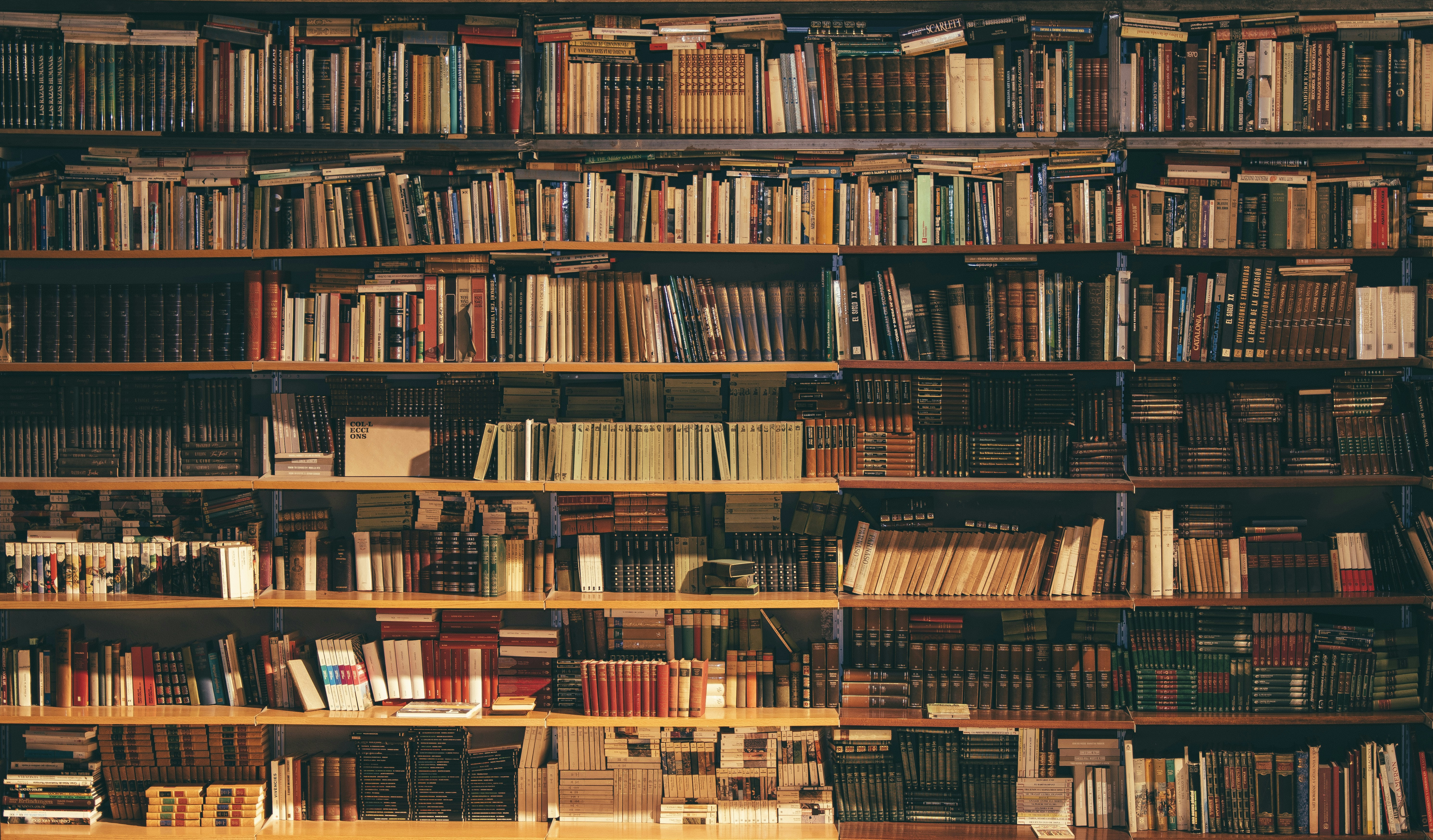 Wide shot of a modern public library interior with shelves of books and a quiet reading area.