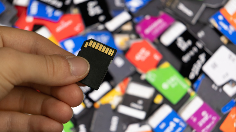 A person holding a single SD card over a massive pile of various memory cards.