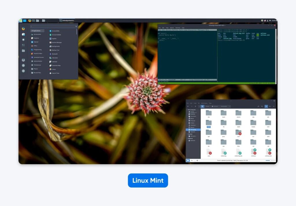 The Linux Mint Cinnamon desktop showing the start menu and a clean, traditional layout.